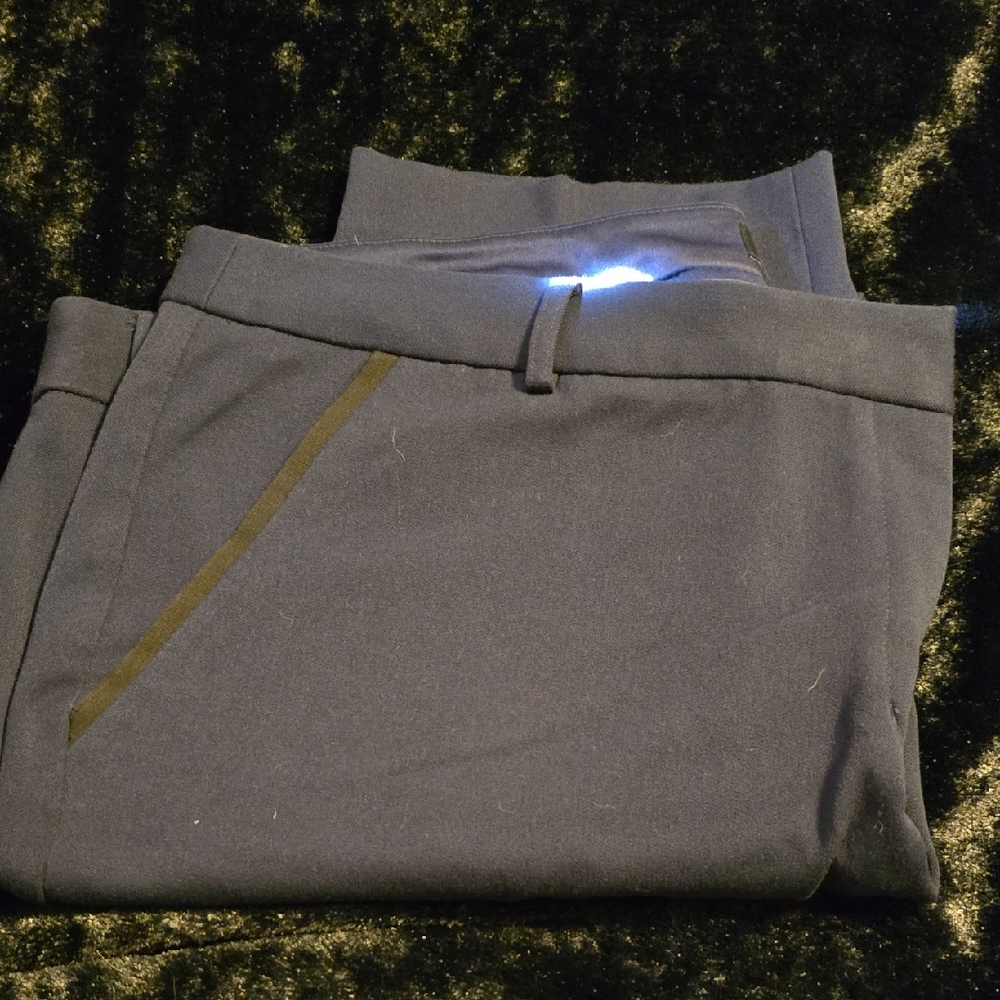 Express Navy Women's Pants